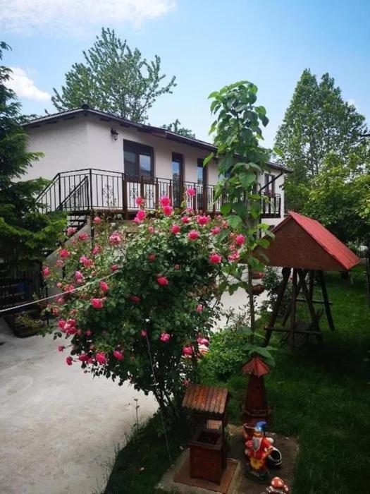 Отель Casa Tibi Si Nico Эфорие Норд Экстерьер фото